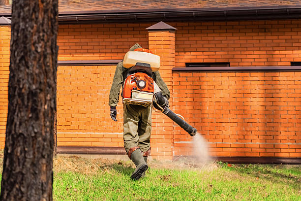 Bed Bug Clearance Verification and Documentation in Dawsonville